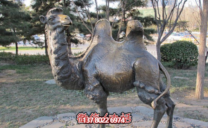 創(chuàng)意大型玻璃鋼駱駝雕塑，在草地上擺放，一眼回頭