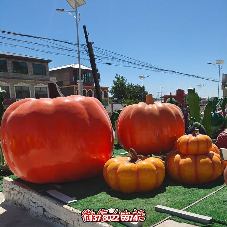 美麗鄉(xiāng)村，收獲美食——南瓜種植示范農(nóng)場