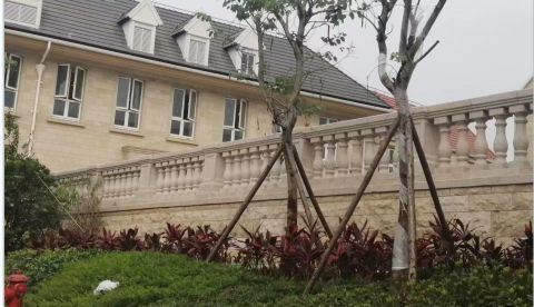 微信截圖_20250320110337